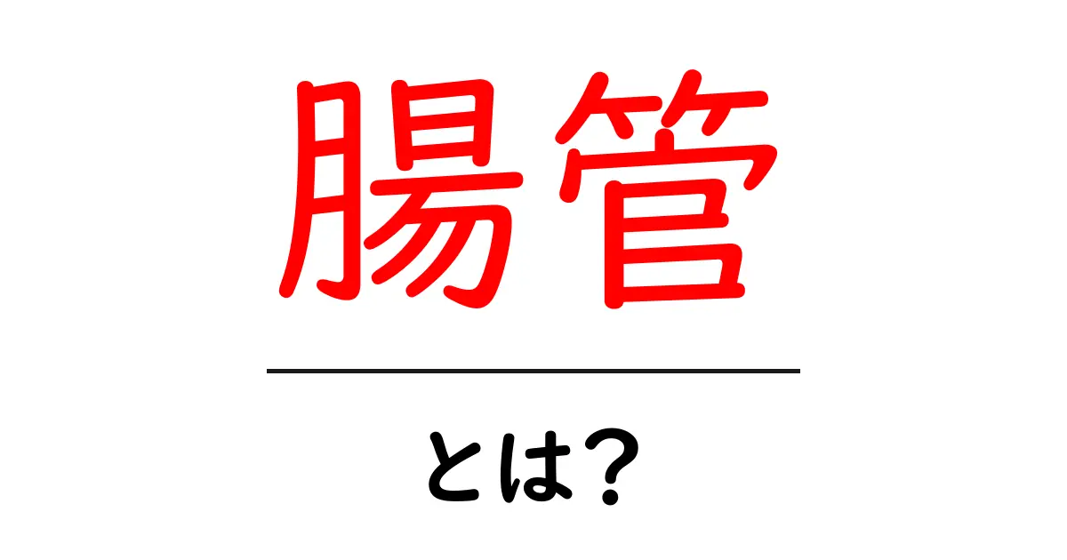 腸管とは?健康と消化の大切な役割を解説!共起語・同意語も併せて解説!