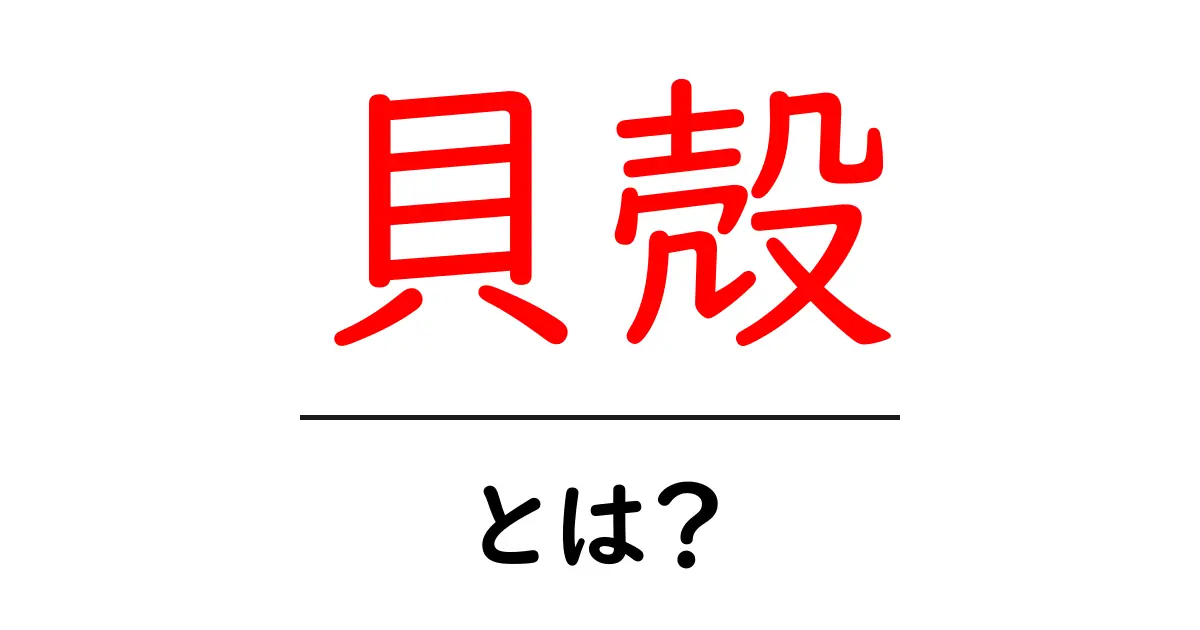 貝殻とは?その美しさと種類を知ろう!共起語・同意語も併せて解説!