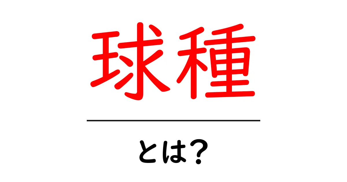 「球種」とは？野球の投球スタイルを徹底解説！共起語・同意語も併せて解説！