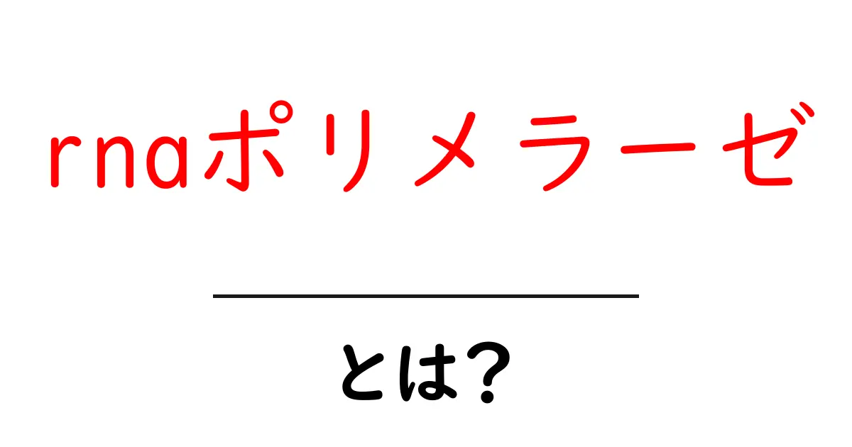 RNAポリメラーゼとは?生命の遺伝子を読み解く重要な酵素の役割共起語・同意語も併せて解説!