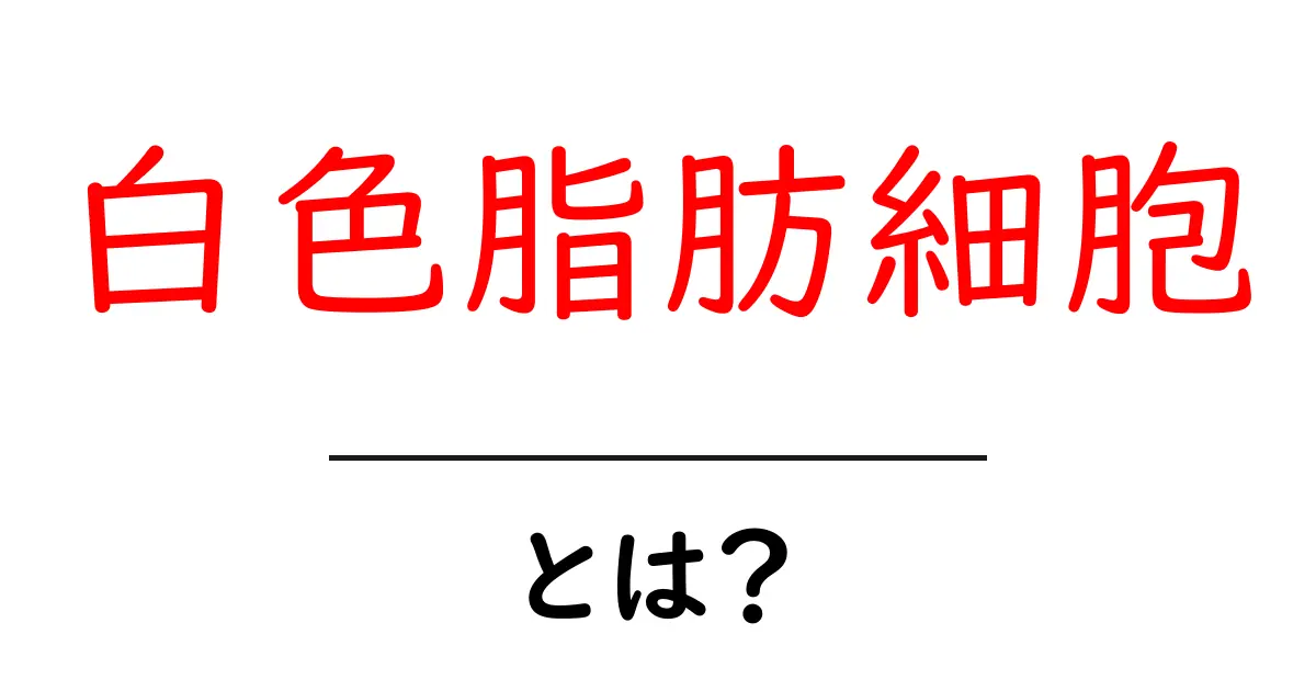 白色脂肪細胞とは?健康にどのように関わっているのか知ろう!共起語・同意語も併せて解説!