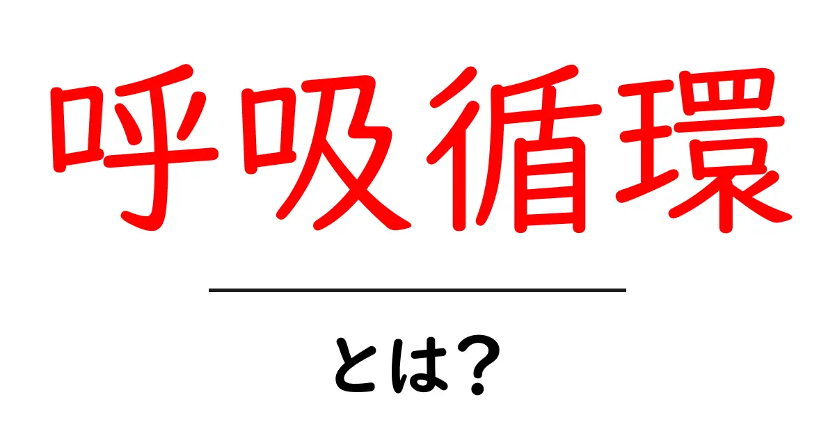 呼吸循環とは?私たちの身体を支える大切な仕組み共起語・同意語も併せて解説!