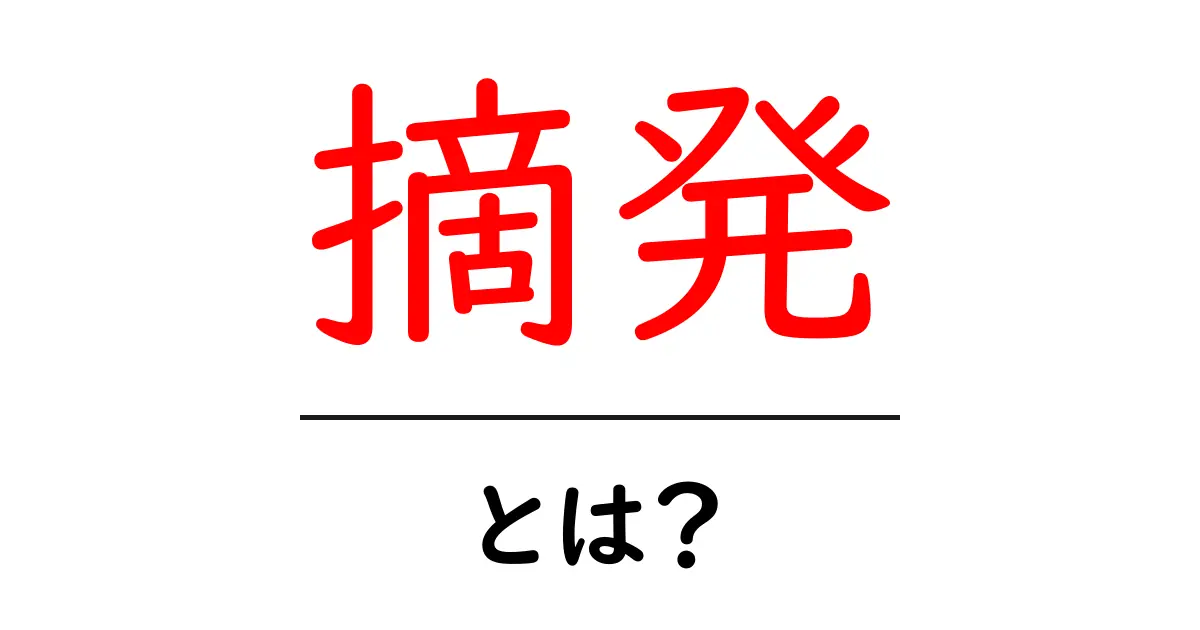 摘発とは?その意味と重要性をわかりやすく解説!共起語・同意語も併せて解説!