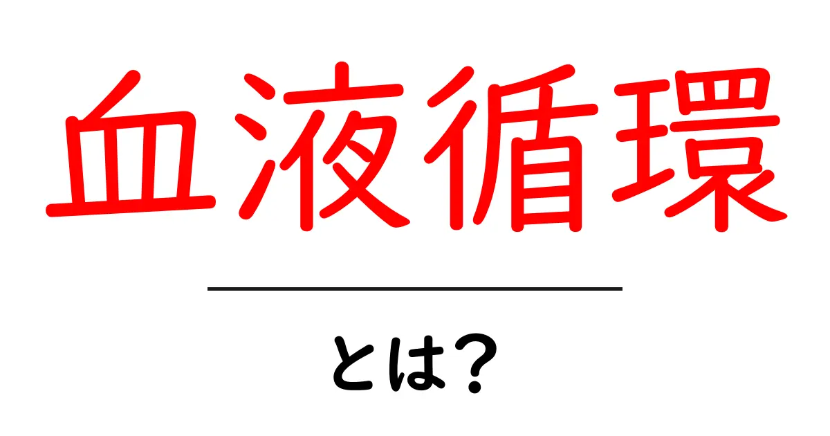 血液循環とは?私たちの体の中で起こる驚くべき仕組み共起語・同意語も併せて解説!