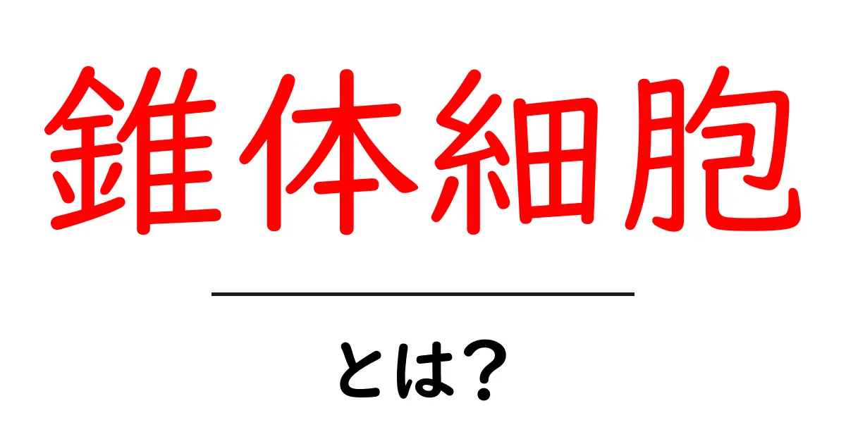 錐体細胞とは?視覚の秘密を解き明かそう!共起語・同意語も併せて解説!