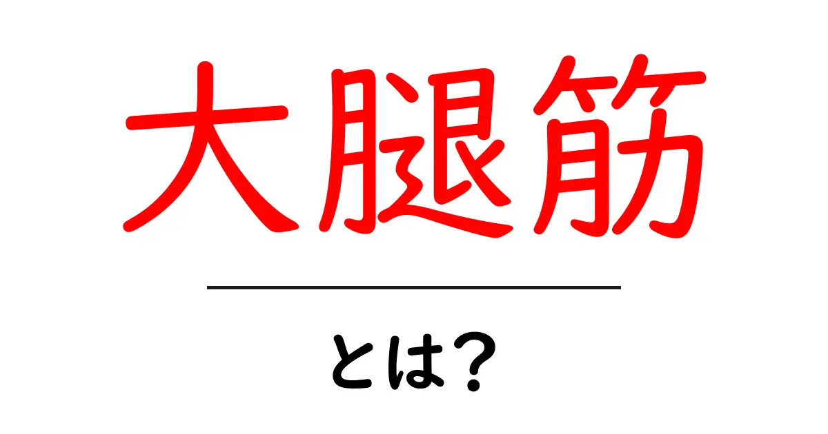 大腿筋とは? 筋肉の役割と重要性を理解しよう共起語・同意語も併せて解説!