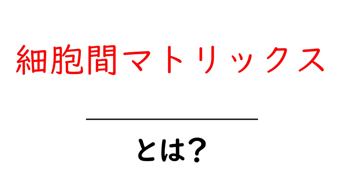 細胞間マトリックスとは?理解しやすい解説とその重要性共起語・同意語も併せて解説!