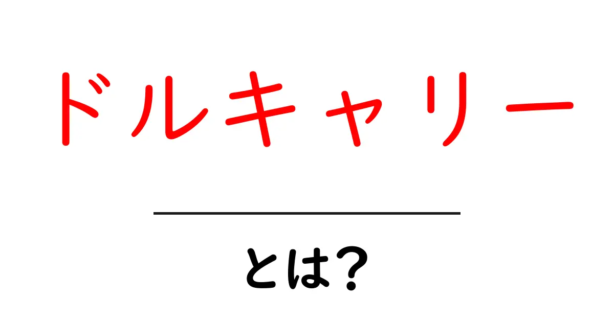 ドルキャリーとは？その仕組みとメリットをわかりやすく解説！共起語・同意語も併せて解説！