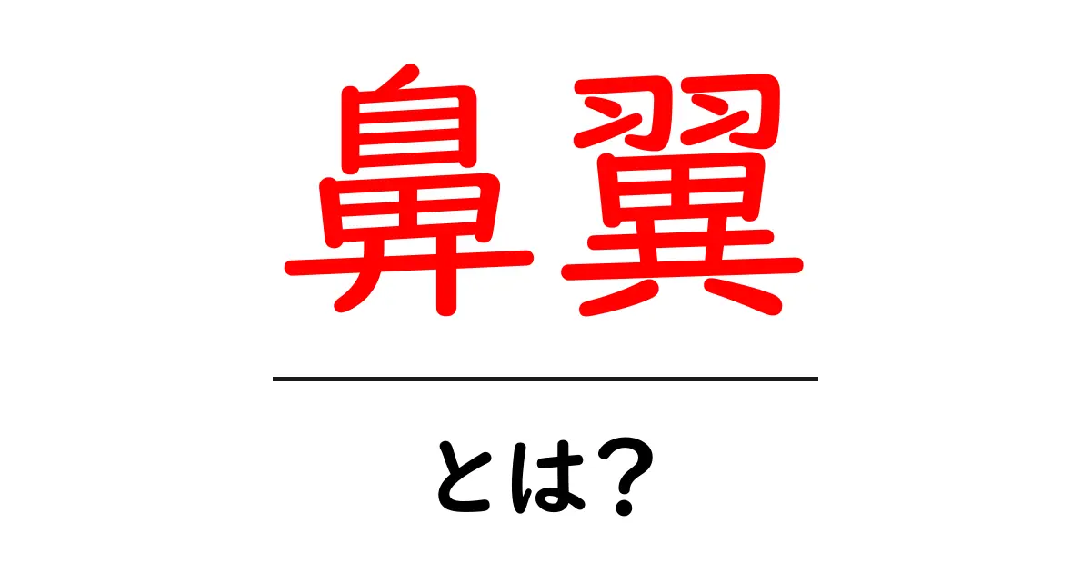 鼻翼とは?その意味と重要性を知ろう!共起語・同意語も併せて解説!
