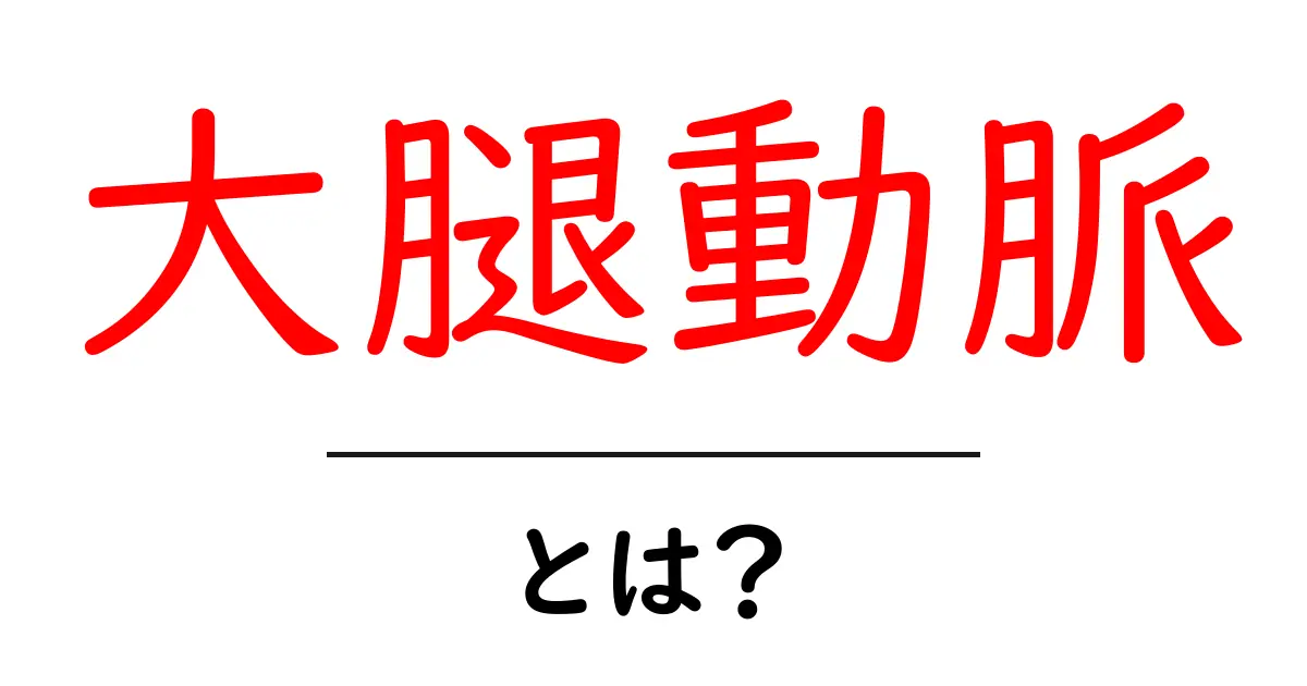 大腿動脈とは?体の中での重要な役割を解説!共起語・同意語も併せて解説!