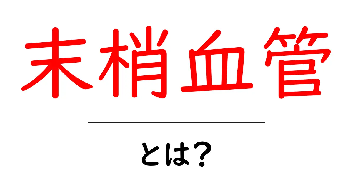 末梢血管とは?その役割や健康への影響を解説!共起語・同意語も併せて解説!