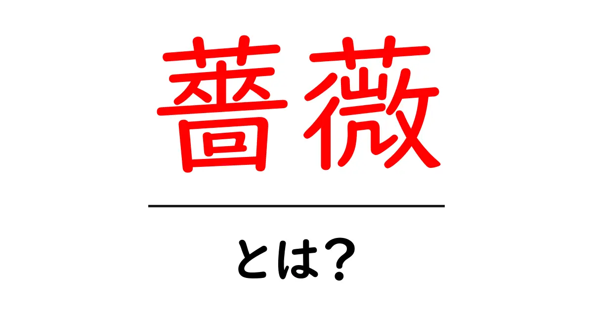 薔薇とは?その美しさと種類、育て方を知ろう!共起語・同意語も併せて解説!