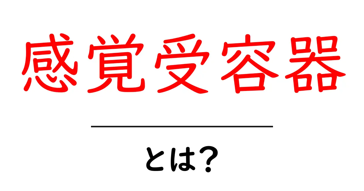 感覚受容器とは?私たちの体を守る重要な役割を知ろう!共起語・同意語も併せて解説!