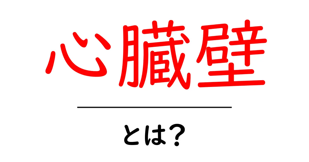 心臓壁とは?その役割と重要性を簡単に解説!共起語・同意語も併せて解説!