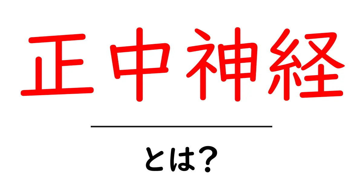 正中神経とは？知られざる神経の役割と重要性共起語・同意語も併せて解説！
