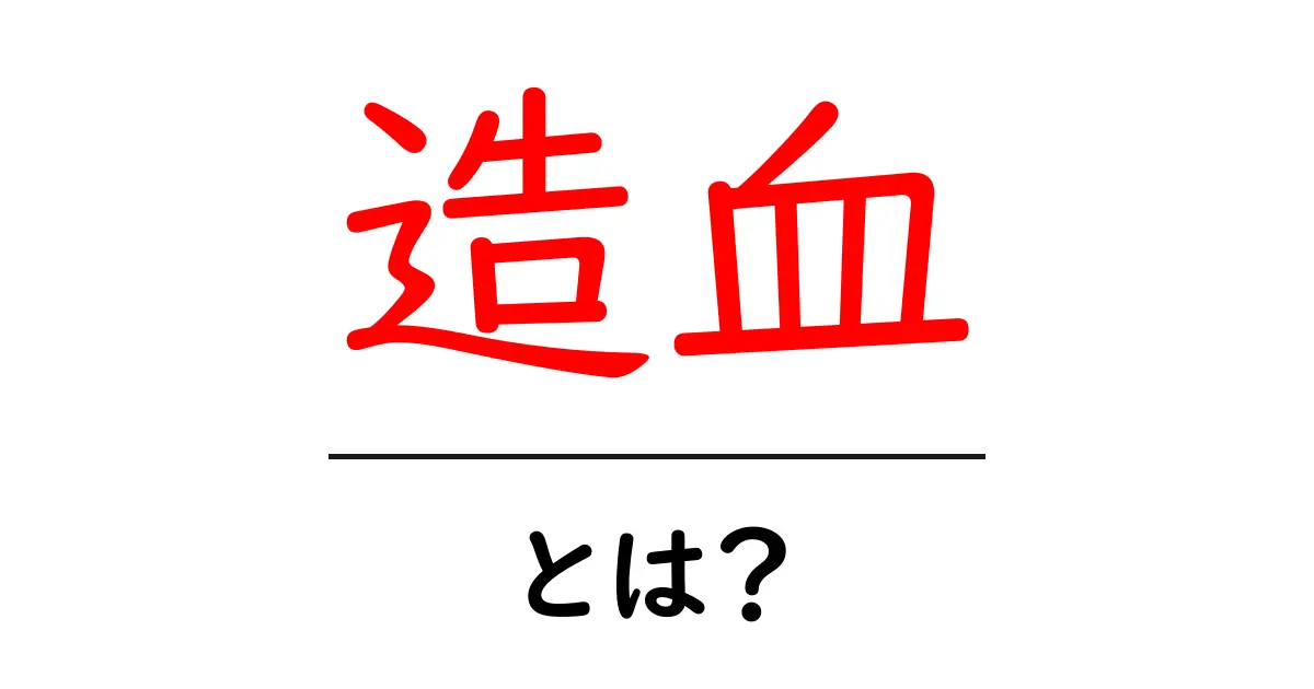 造血とは?私たちの体の中で起こる神秘的なプロセスを解説共起語・同意語も併せて解説!