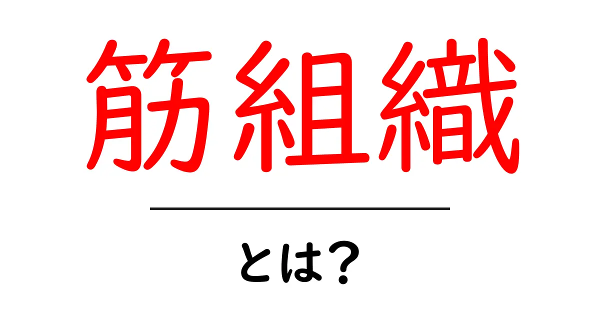 筋組織とは？体の仕組みを理解しよう！共起語・同意語も併せて解説！