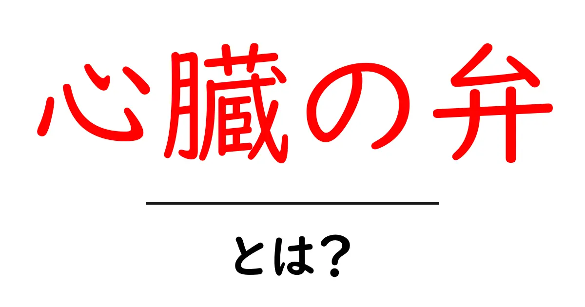 心臓の弁とは?その働きと重要性を徹底解説!共起語・同意語も併せて解説!