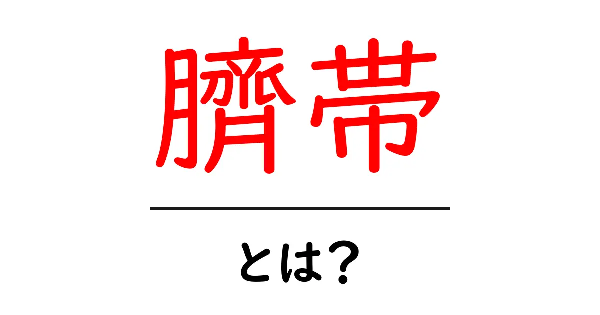臍帯とは?その役割や重要性を解説します!共起語・同意語も併せて解説!