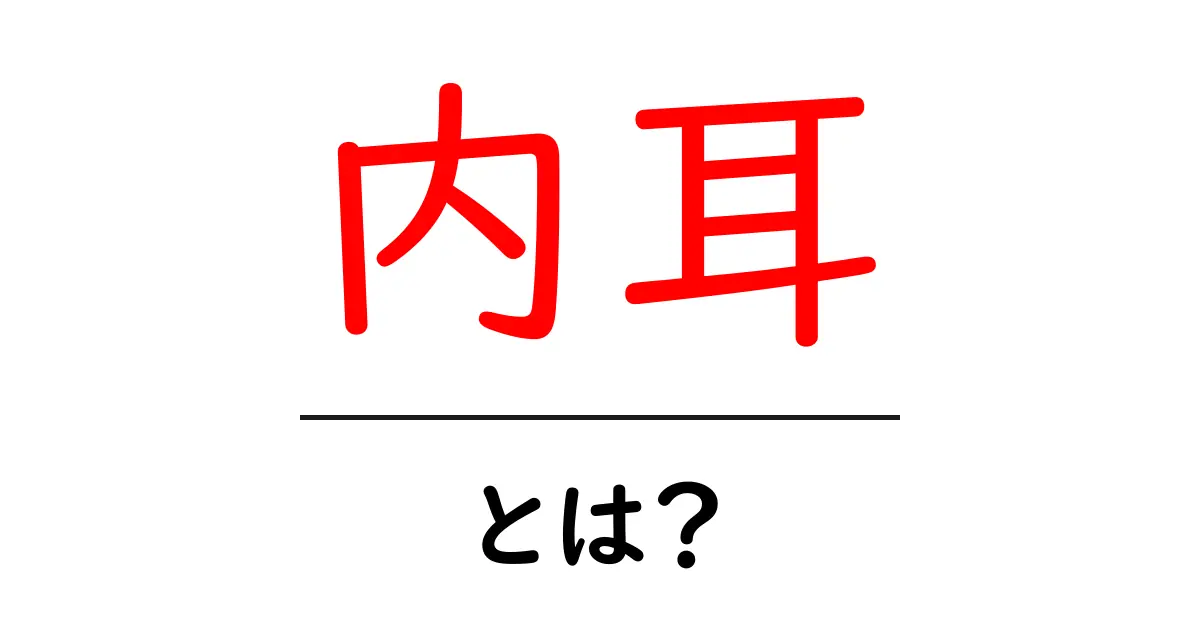 内耳とは?その役割と重要性を知ろう!共起語・同意語も併せて解説!