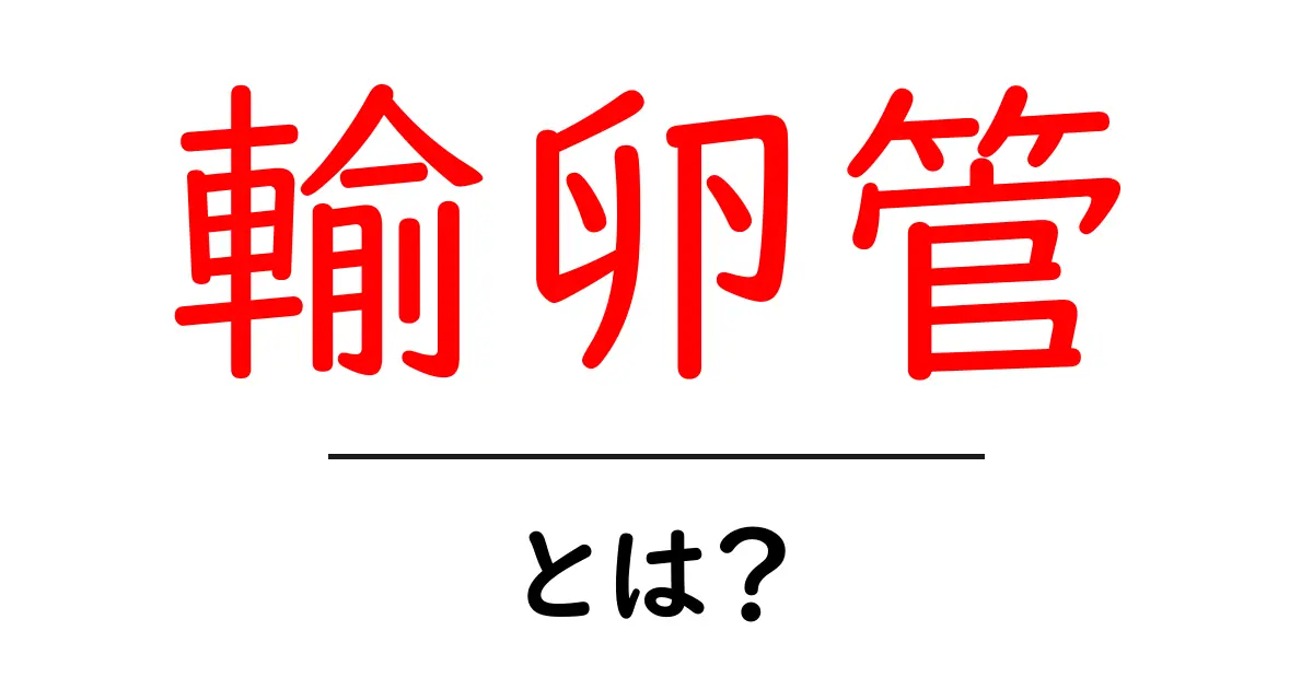 輸卵管とは？その役割と健康に与える影響について解説共起語・同意語も併せて解説！