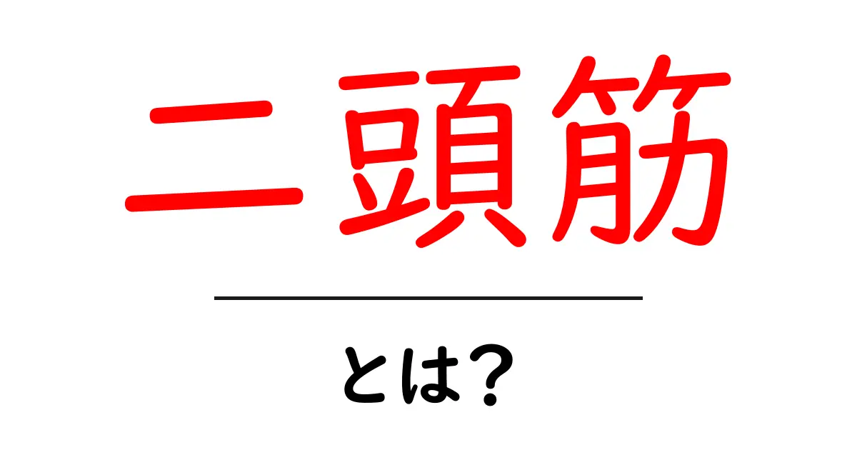 二頭筋とは?その重要性と鍛え方を解説!共起語・同意語も併せて解説!