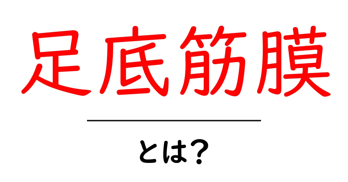 足底筋膜とは?痛みの原因と予防法を解説!共起語・同意語も併せて解説!