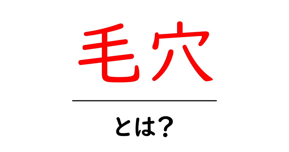毛穴の正体とは?肌の悩みを解消する方法と対策共起語・同意語も併せて解説!