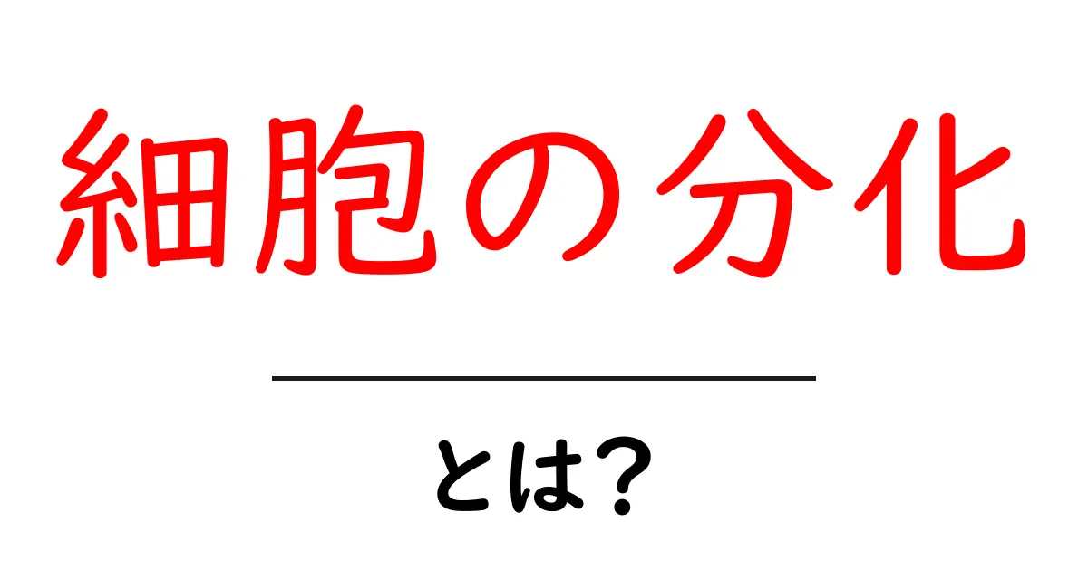 細胞の分化とは?身体が成り立つための不思議な仕組みを解説!共起語・同意語も併せて解説!