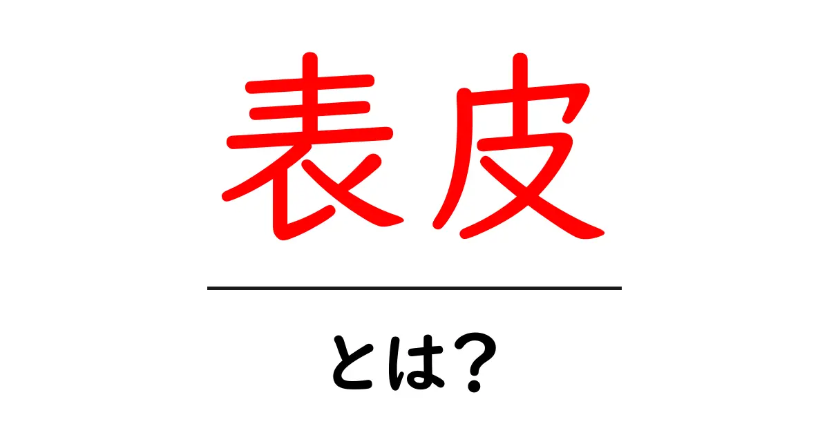 表皮とは？私たちの体を守る大切な役割を知ろう！共起語・同意語も併せて解説！