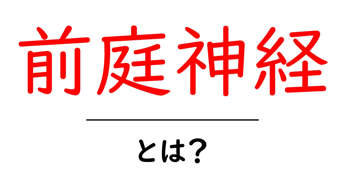 前庭神経とは?バランスを保つ大事な役割を知ろう!共起語・同意語も併せて解説!
