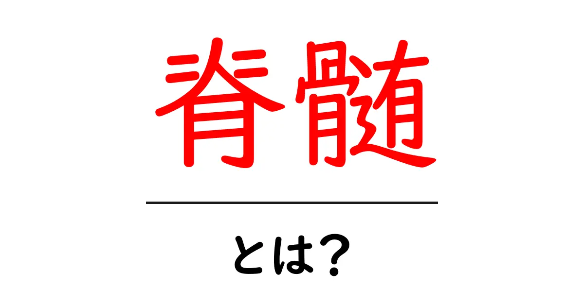 脊髄とは?私たちの体に欠かせない重要な部分の役割を理解しよう!共起語・同意語も併せて解説!