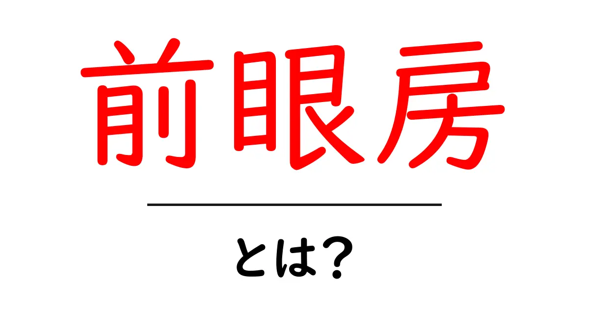 前眼房って何？目の仕組みと役割を簡単に解説！共起語・同意語も併せて解説！