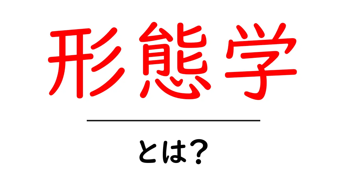 形態学とは?物の形や構造を理解するための基礎知識共起語・同意語も併せて解説!