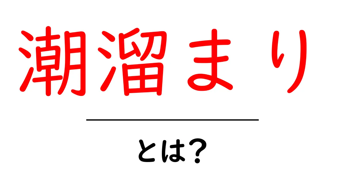 潮溜まりって何？海での知られざる不思議な世界共起語・同意語も併せて解説！