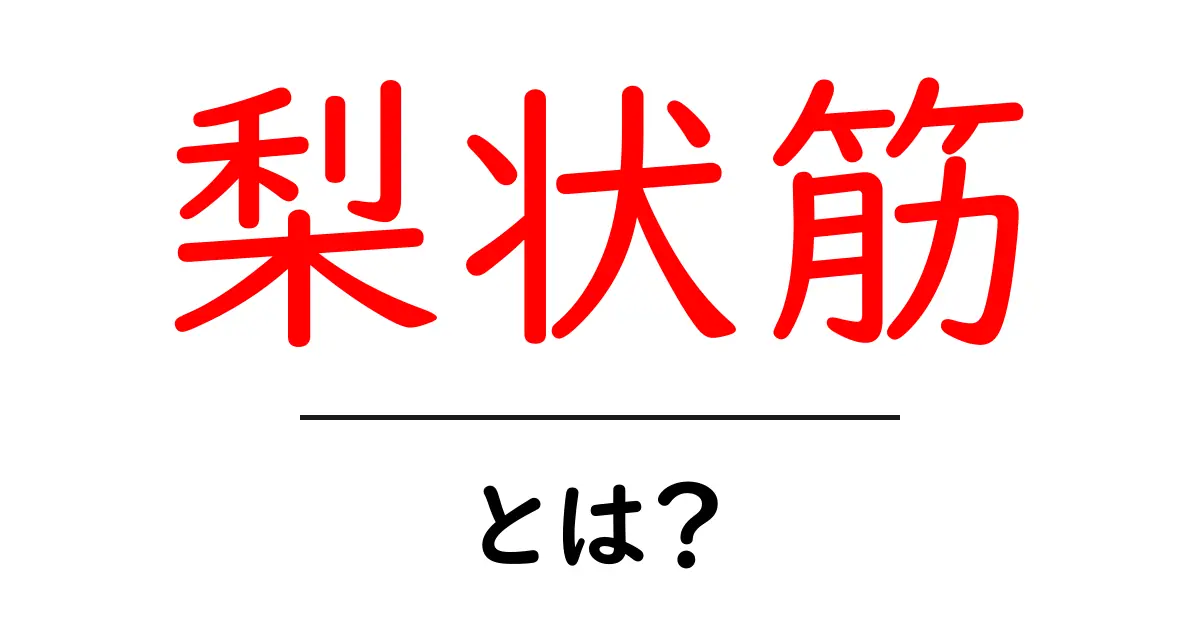梨状筋とは?痛みやこりを和らげる筋肉の要素を解説共起語・同意語も併せて解説!