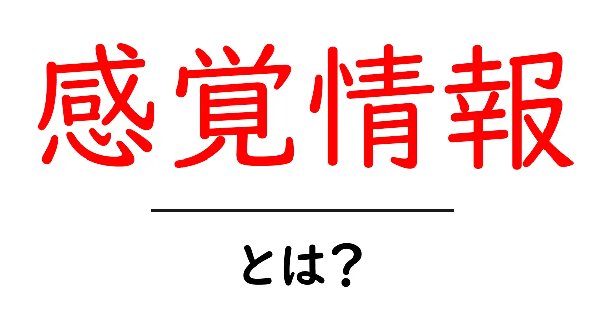 感覚情報とは?私たちの感覚を知るための基本ガイド共起語・同意語も併せて解説!