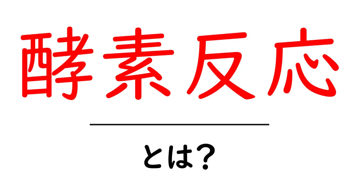 酵素反応とは？中学生でもわかる基礎知識と日常生活への影響共起語・同意語も併せて解説！