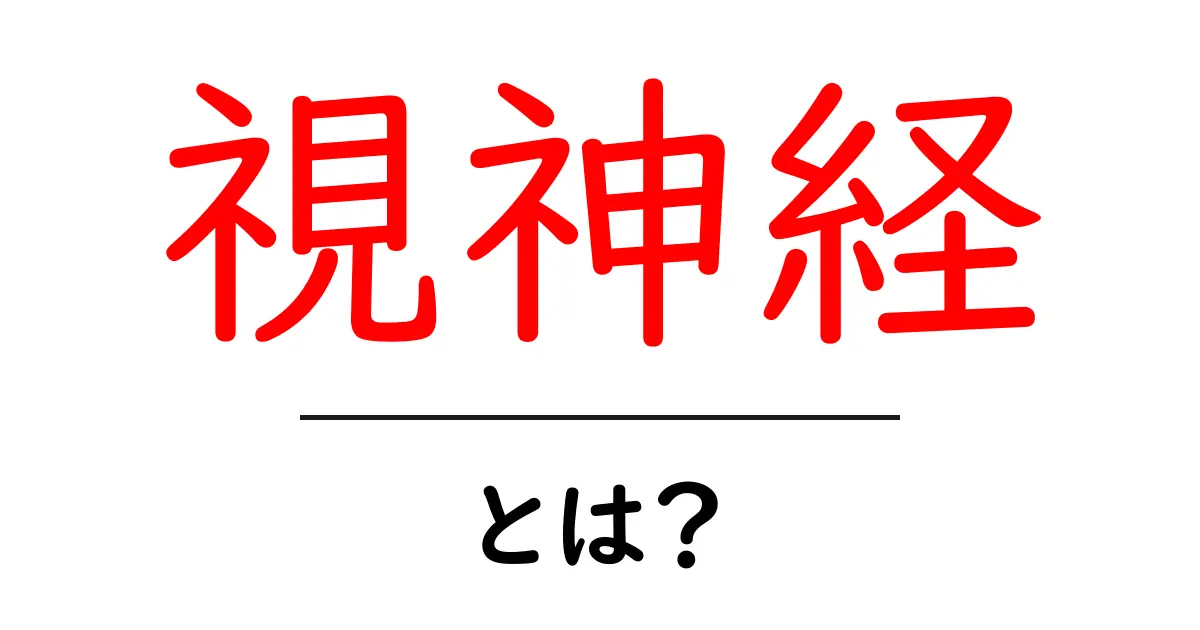視神経とは?目と脳をつなぐ神秘的な神経の役割を解説!共起語・同意語も併せて解説!