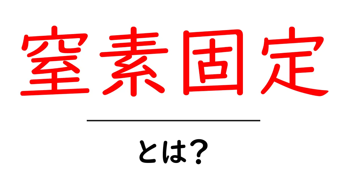 窒素固定とは？土の中の小さな力を知ろう！共起語・同意語も併せて解説！