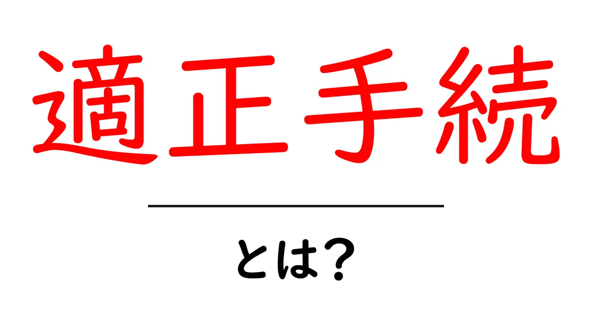 適正手続とは?知っておくべき基礎知識とその重要性共起語・同意語も併せて解説!