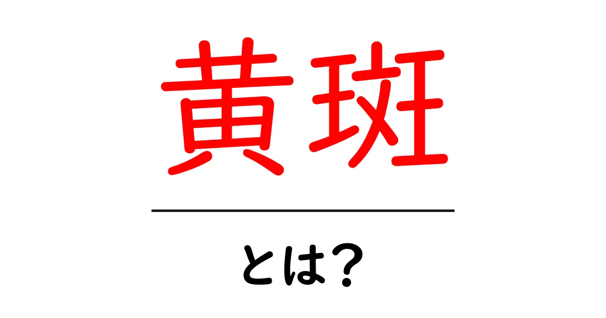 黄斑とは?目の健康を守るために知っておきたい基本知識共起語・同意語も併せて解説!