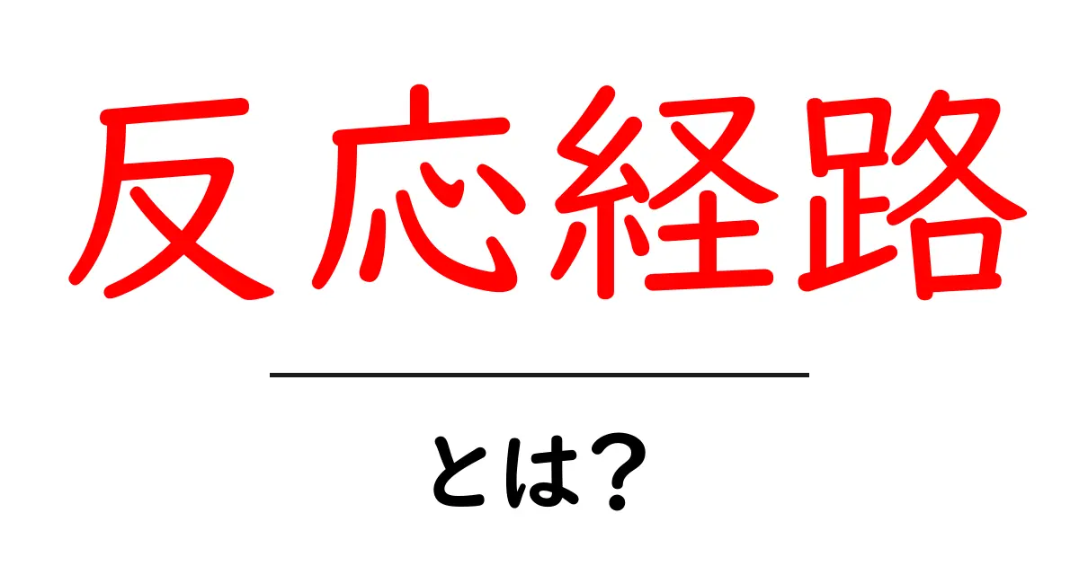 反応経路とは？私たちの生活にどんな影響を与えるのか共起語・同意語も併せて解説！