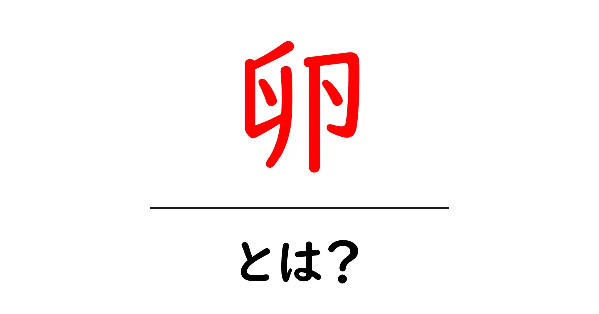 卵とは?栄養価や健康効果について知ろう!共起語・同意語も併せて解説!