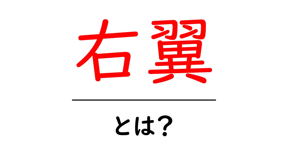 右翼とは?その意味や特徴をわかりやすく解説!共起語・同意語も併せて解説!