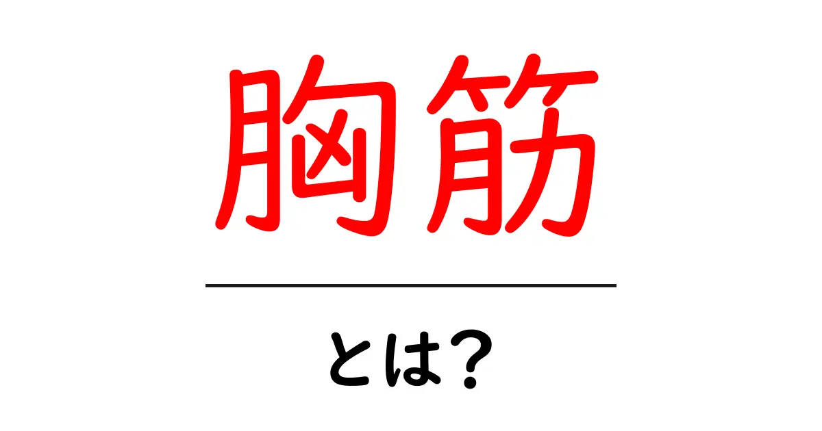 胸筋とは？その効果と鍛え方を徹底解説！共起語・同意語も併せて解説！