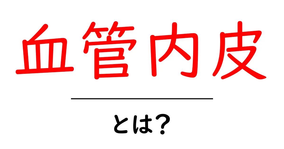 血管内皮とは?体の中の大切なバリアを解説します!共起語・同意語も併せて解説!