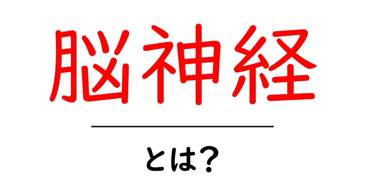 脳神経とは?その役割や重要性についてわかりやすく解説!共起語・同意語も併せて解説!