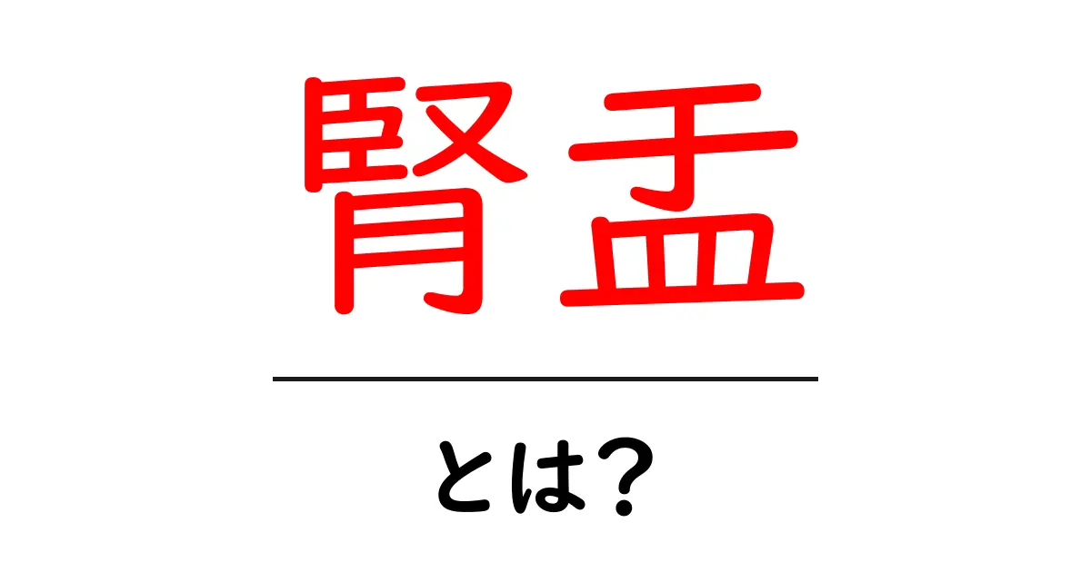 腎盂とは？腎臓とその大切な役割を理解しよう！共起語・同意語も併せて解説！