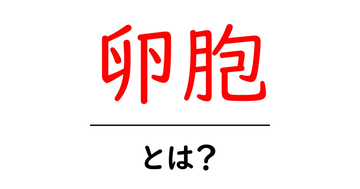 卵胞とは？その役割や仕組みをわかりやすく解説！共起語・同意語も併せて解説！